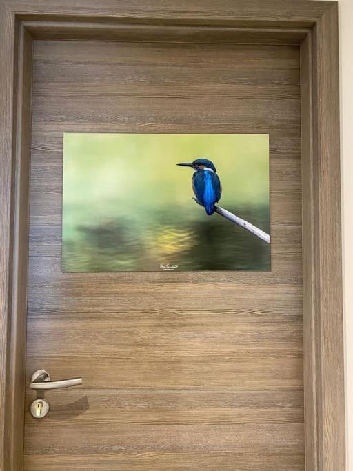 Le Martin Pecheur - Appartement Gérardmer Kültér fotó